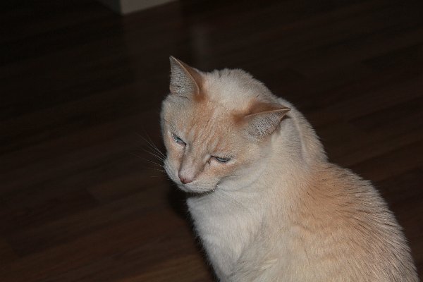 New Camera Dec2010 330